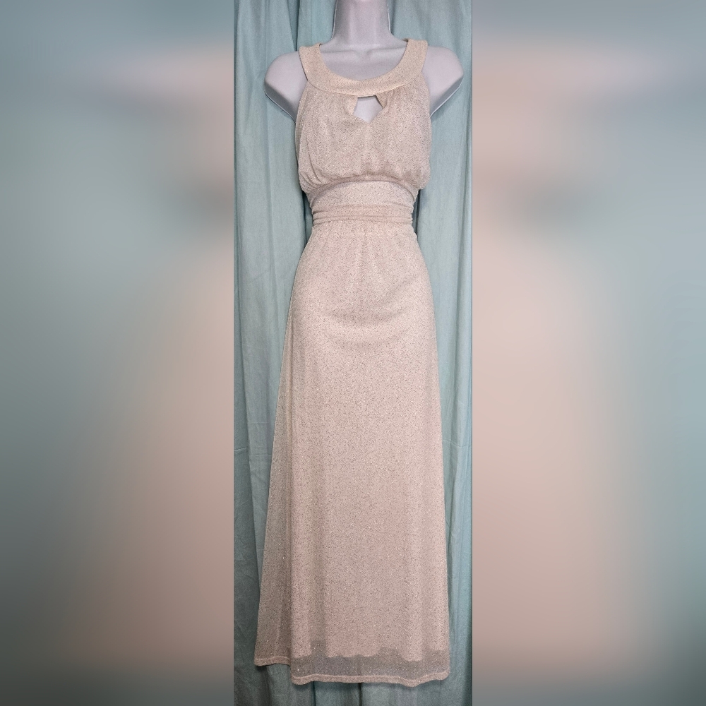 Elegant Sparkling Gown